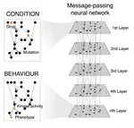Automating Drug Discovery