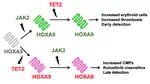 Predicting Cancer Evolution