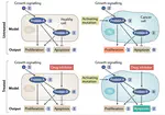 Executable cancer models: successes and challenges