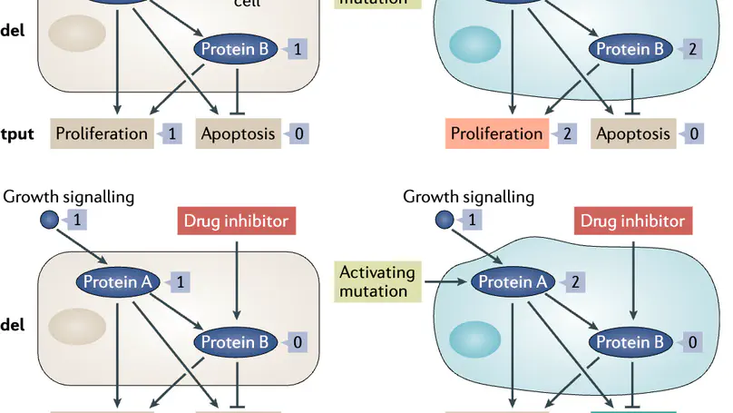 Executable cancer models: successes and challenges