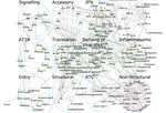 Executable Network of SARS-CoV-2-Host Interaction Predicts Drug Combination Treatments