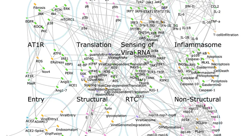 Executable Network of SARS-CoV-2-Host Interaction Predicts Drug Combination Treatments