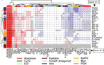 Heterogeneity of Myc expression in breast cancer exposes pharmacological vulnerabilities revealed through executable mechanistic modeling