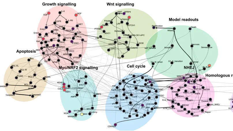 MAGELLAN: Automated Generation of Interpretable Computational Models for Biological Reasoning