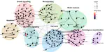 MAGELLAN: Automated Generation of Interpretable Computational Models for Biological Reasoning