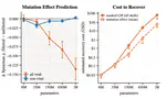 The Effectiveness and Durability of Pretraining Data Filtering in Protein Language Models
