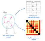 NANSEN: Network Analysis and Screening