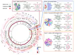 Predicting Personalised Therapeutic Combinations in Non-Small Cell Lung Cancer Using In Silico Modelling