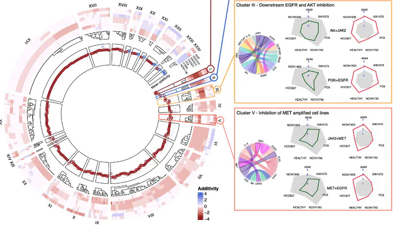 Predicting Personalised Therapeutic Combinations in Non-Small Cell Lung Cancer Using In Silico Modelling